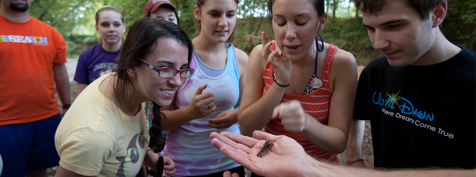 Zoololgy students looking an an insect.