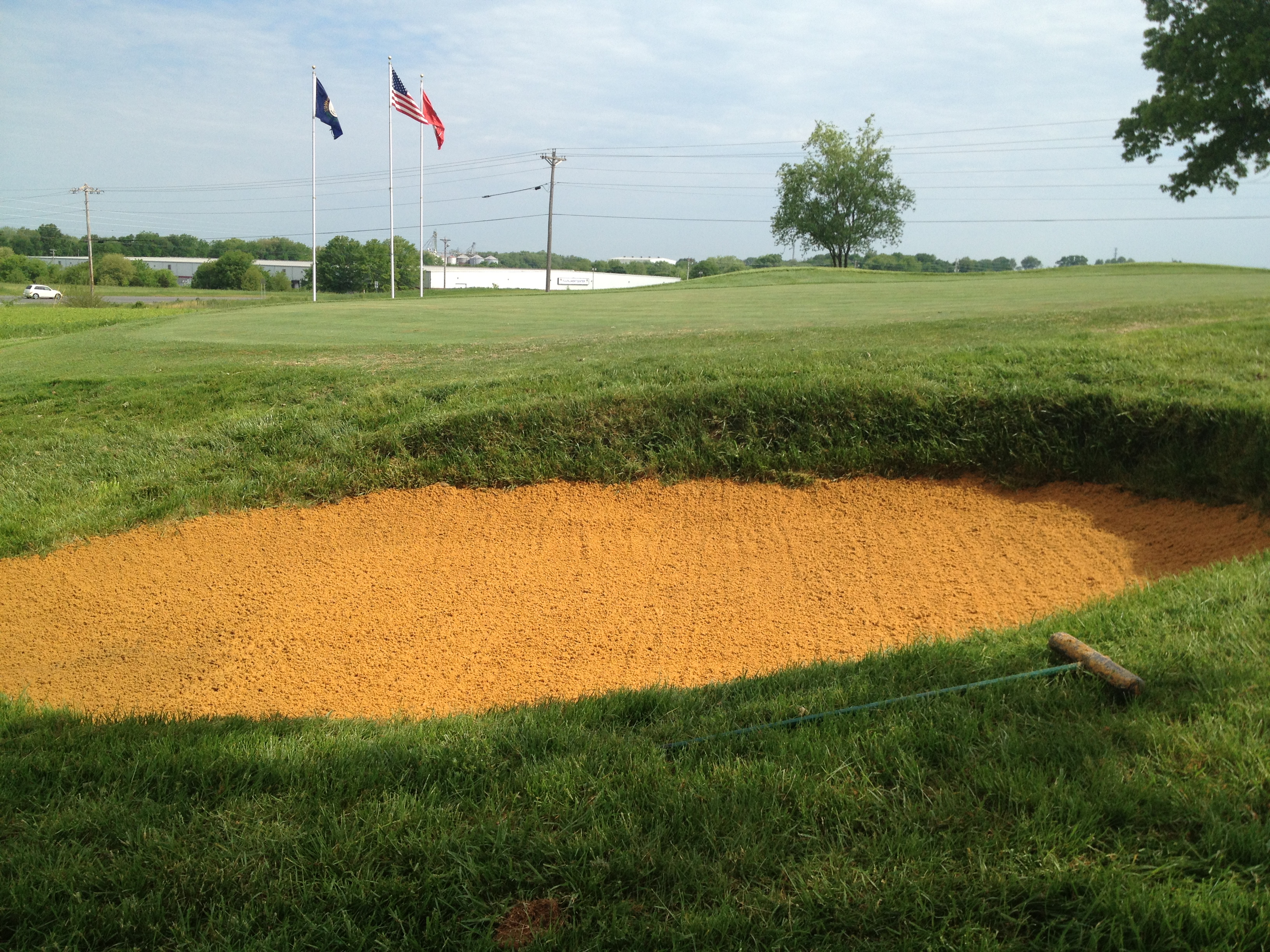 Turf and Golf Course Management