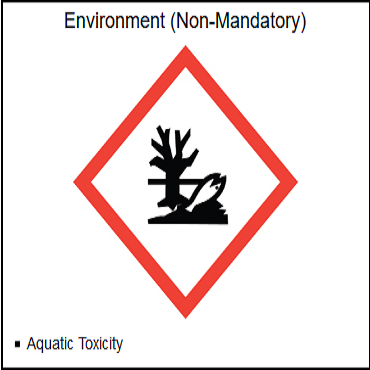 Environment (non-mandatory)