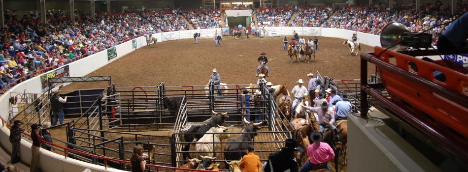 rodeo 2010