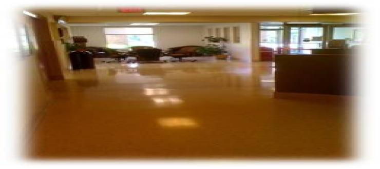 Health Services Floor