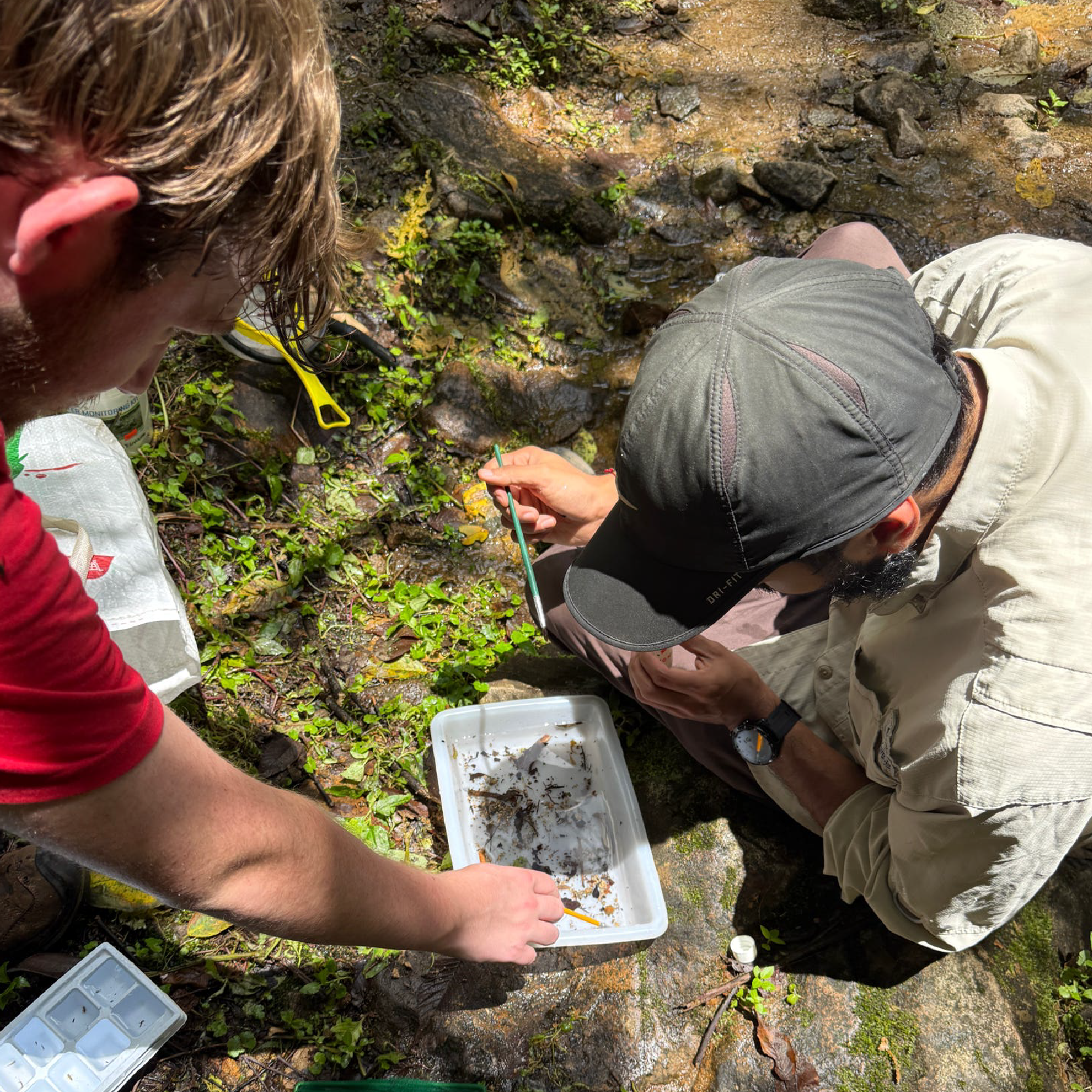 A WKU student and faculty member test a water sample.