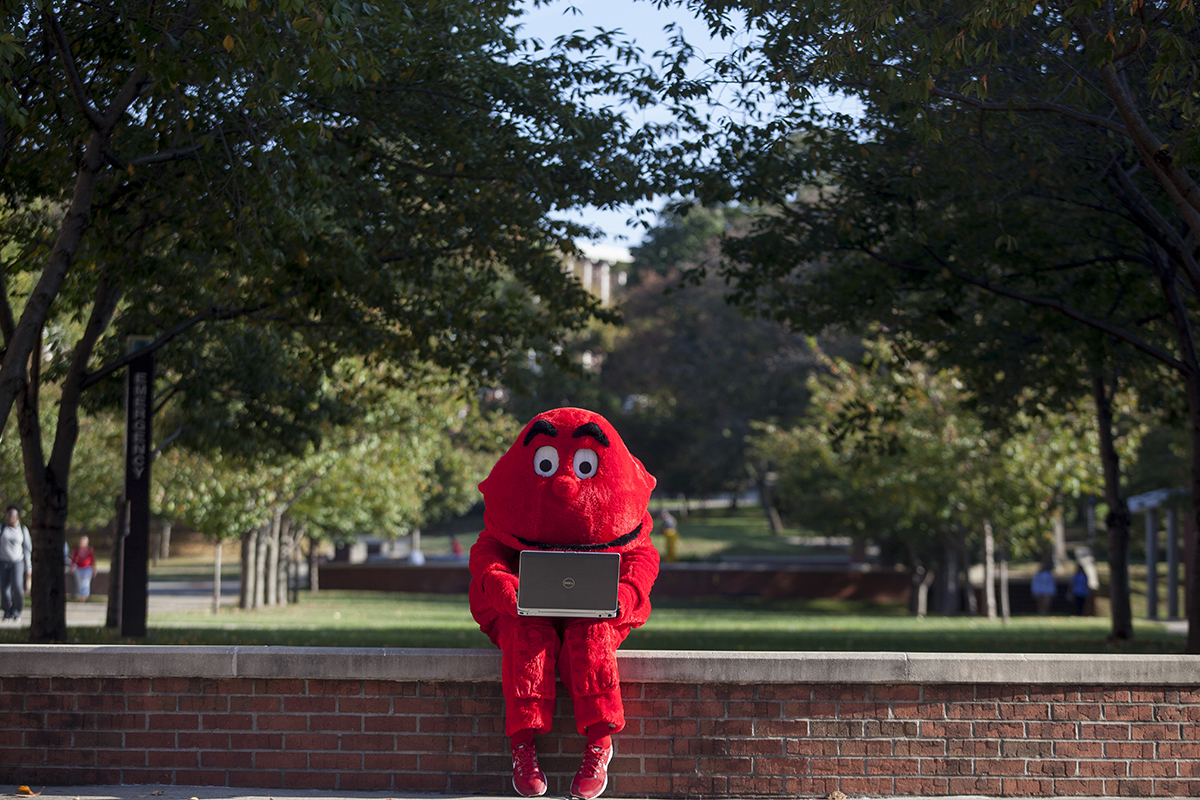 Big Red on a laptop