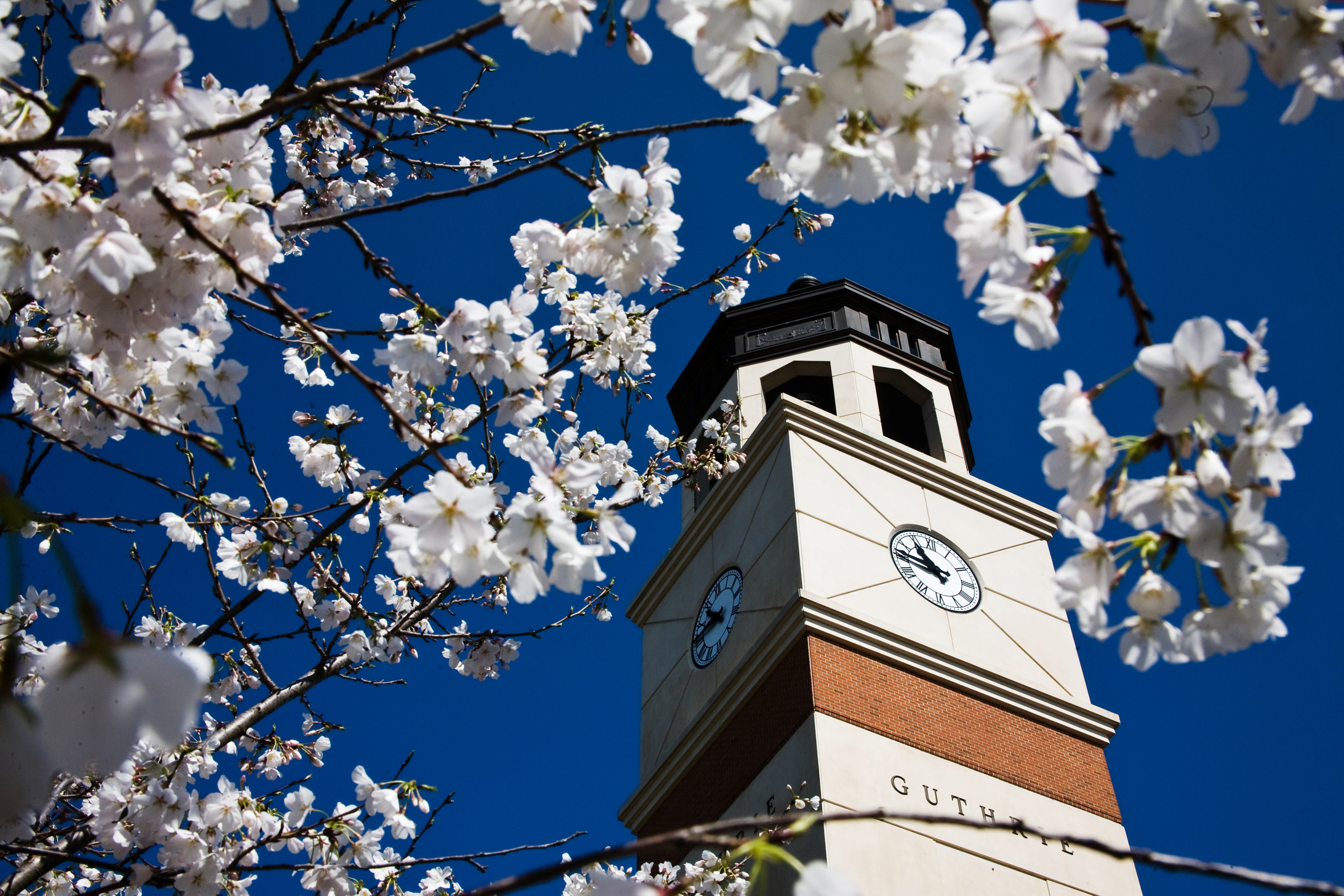 wku campus wku campus
