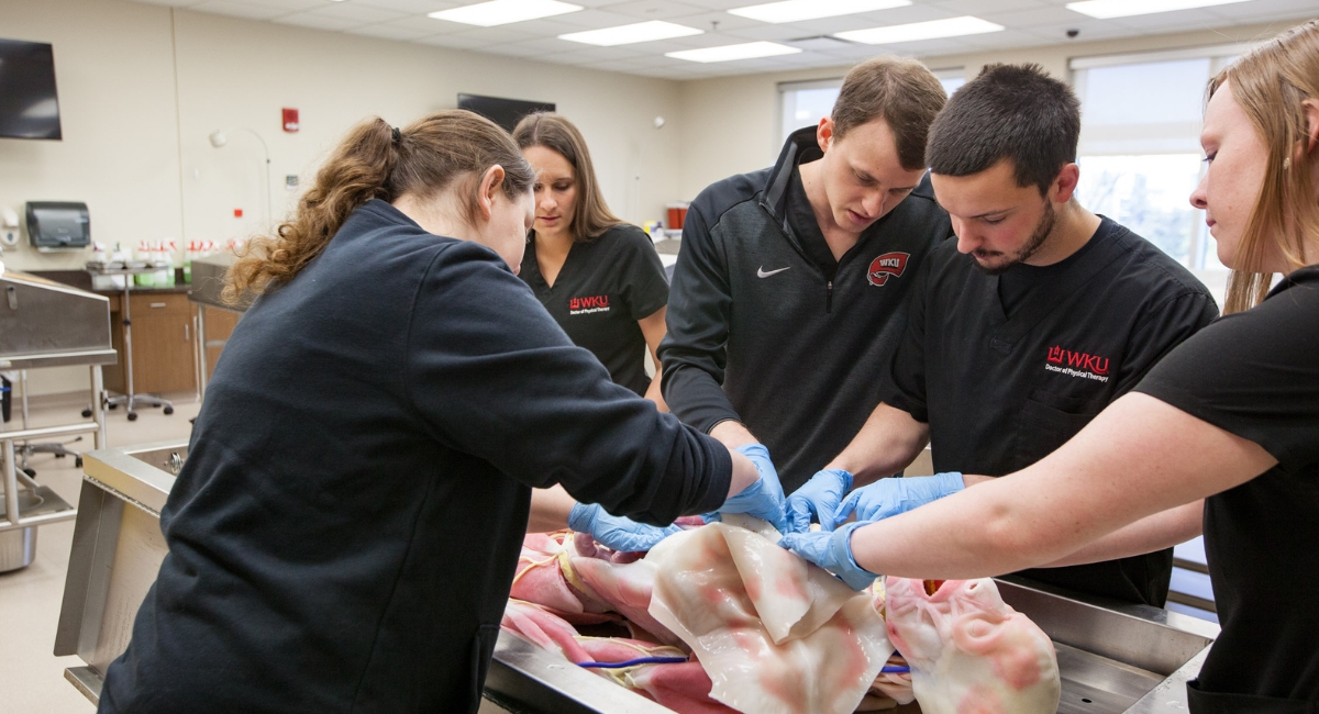 Doctor of Physical Therapy