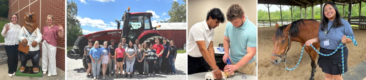 collage of rhs activities