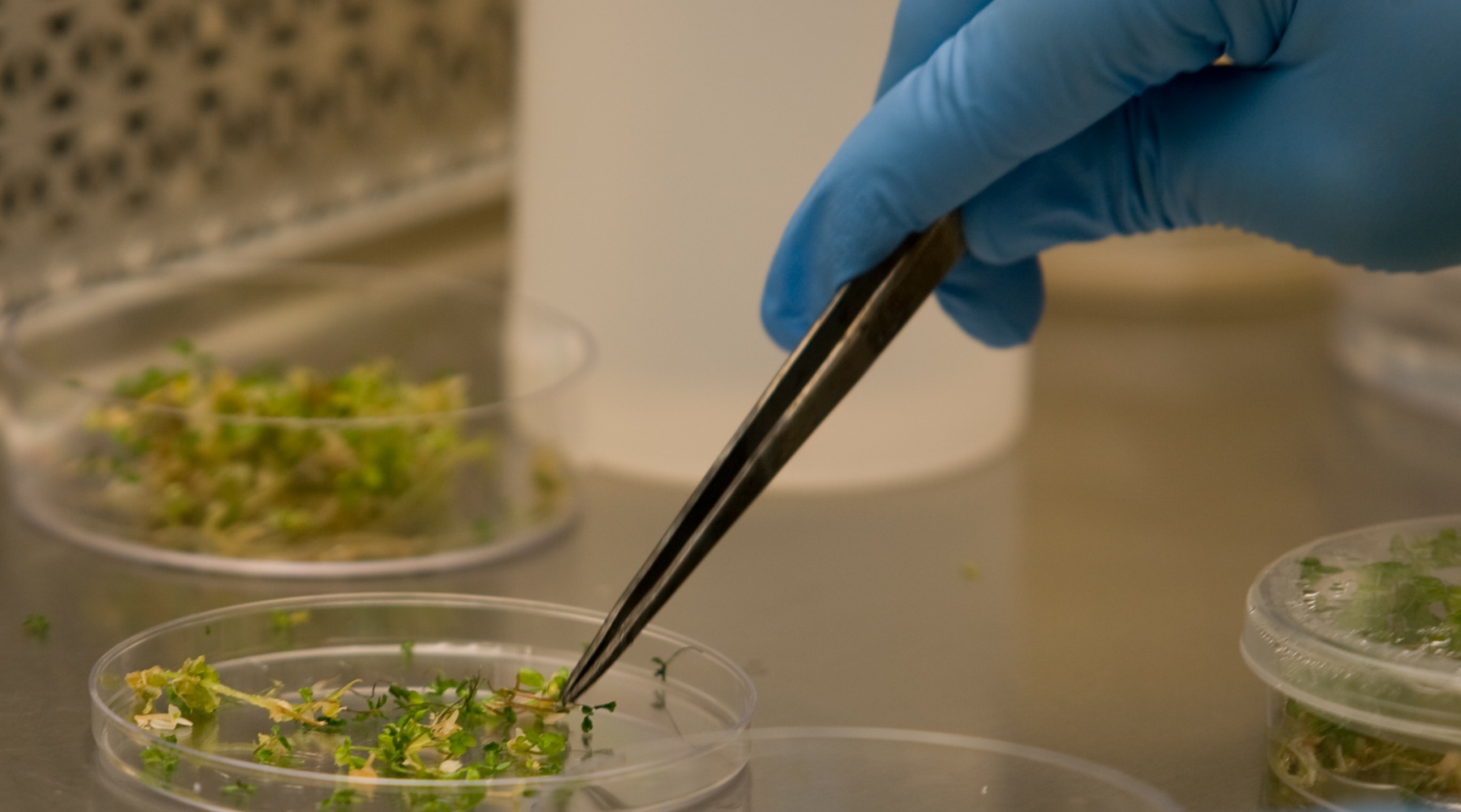 lab research