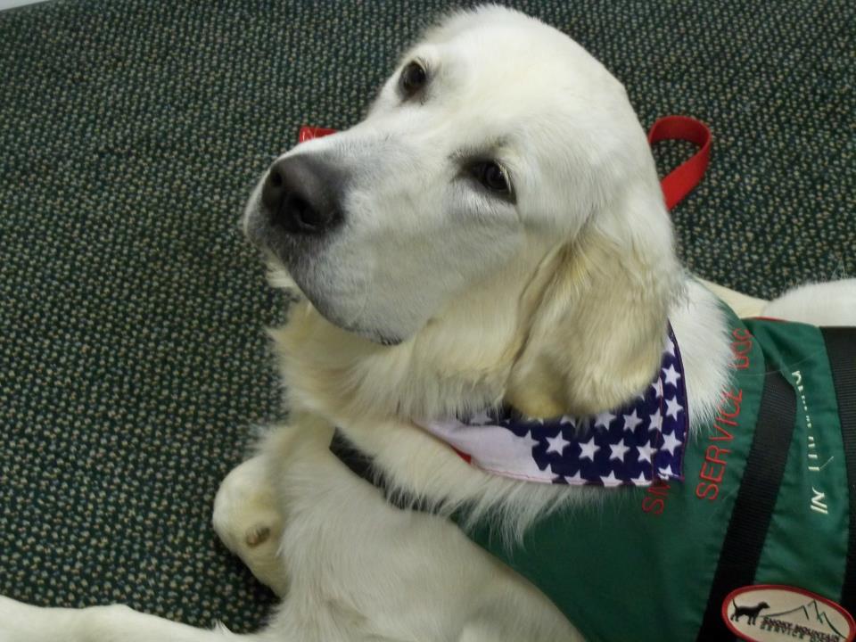 Our new facility dog