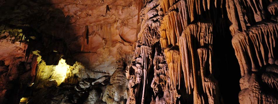 #caption5 Mammoth Cave National Park