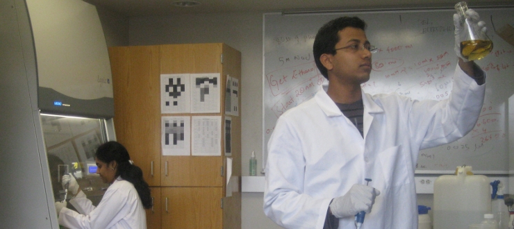 #caption6 Graduate students are working in a research lab