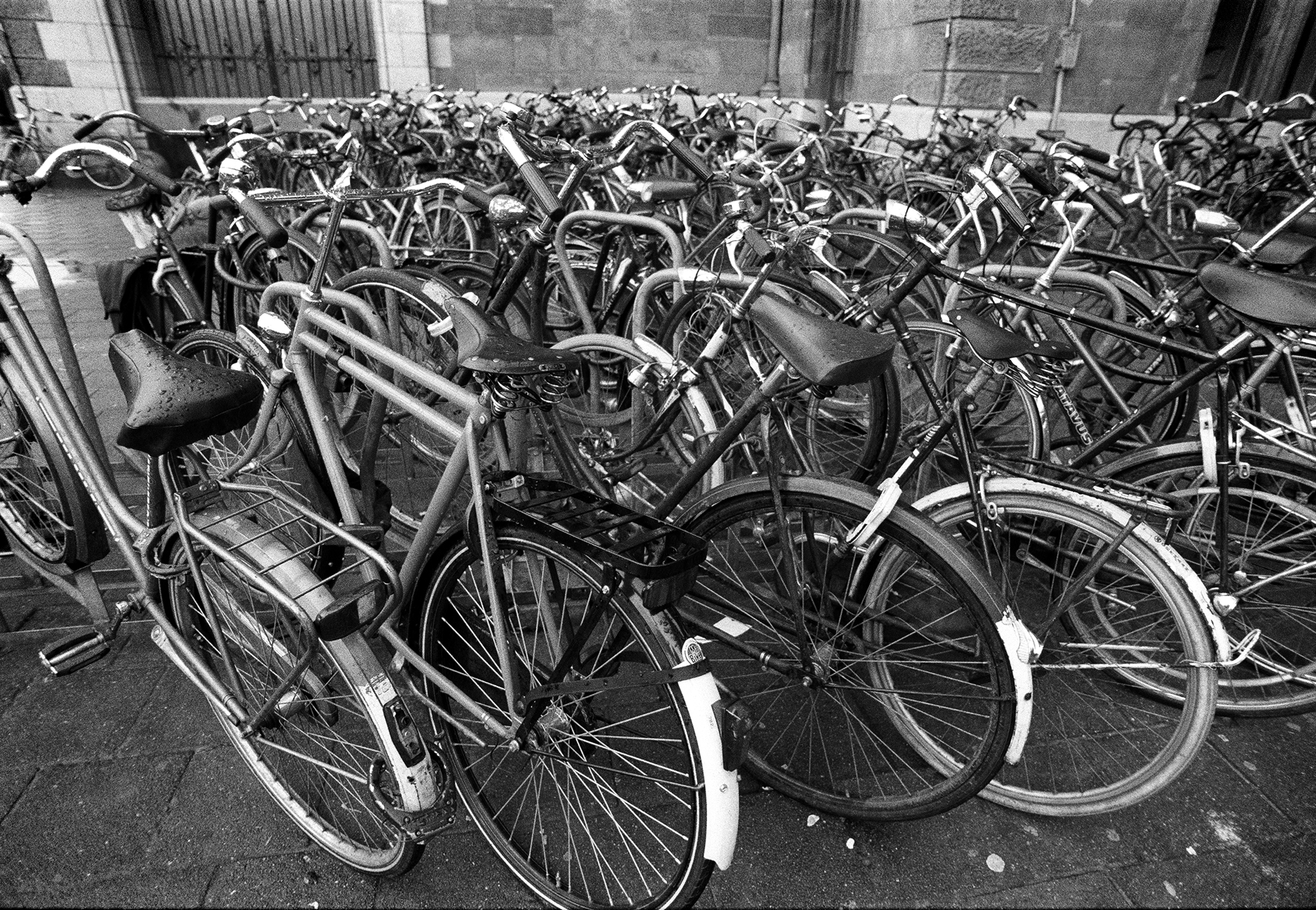 Wet Rides by Aubrey E. Videtto (Amsterdam, Netherlands) Wet Rides by Aubrey E. Videtto (Amsterdam, Netherlands)