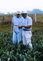 ag_field.jpg ag_field
