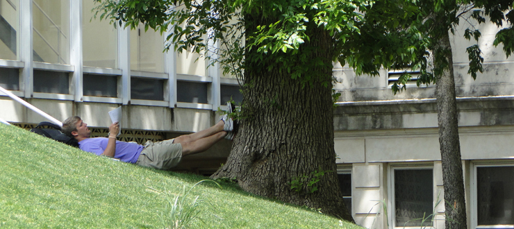 WKU Student Reading under a tree