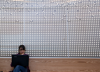 person on laptop