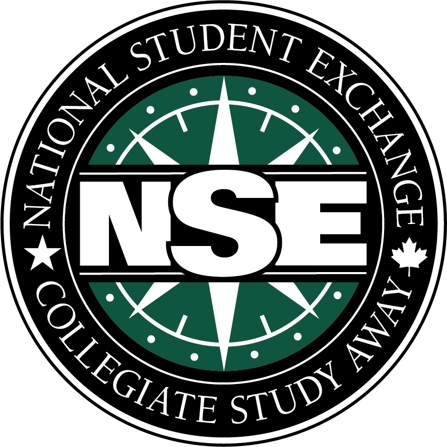 NSE logo