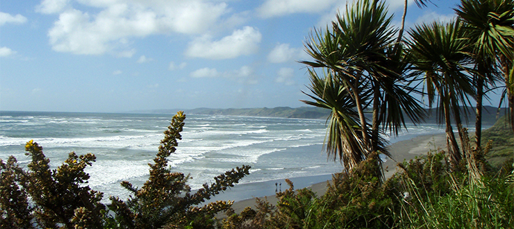 Raglan surf