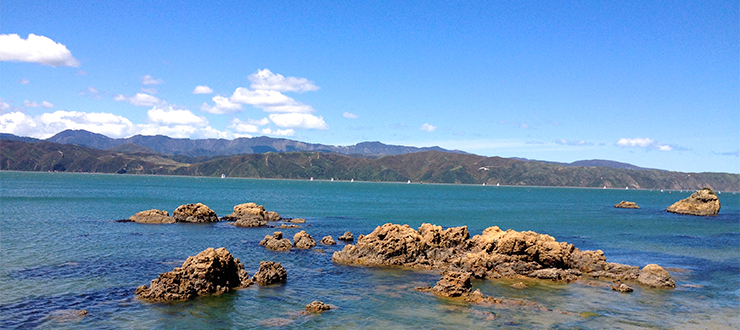Wellington