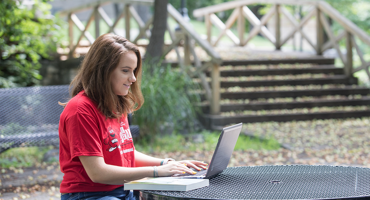 A WKU Online Option