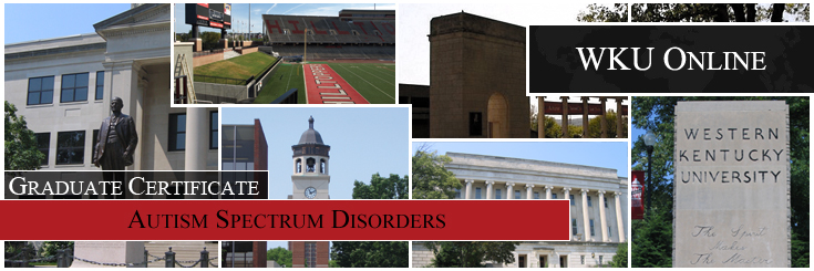 Autism Disorders Banner