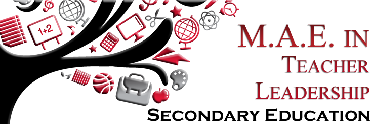 MAE Secondary Ed