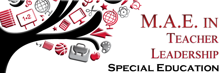 MAE Special Ed
