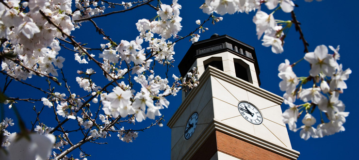 Image of WKU's Guthrie Tower in the springtime