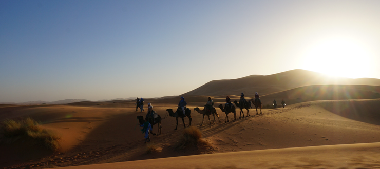 #caption2 Students took a camel-trek in the Sahara on Dr. Kiasatpour's Morocco study abroad program.
