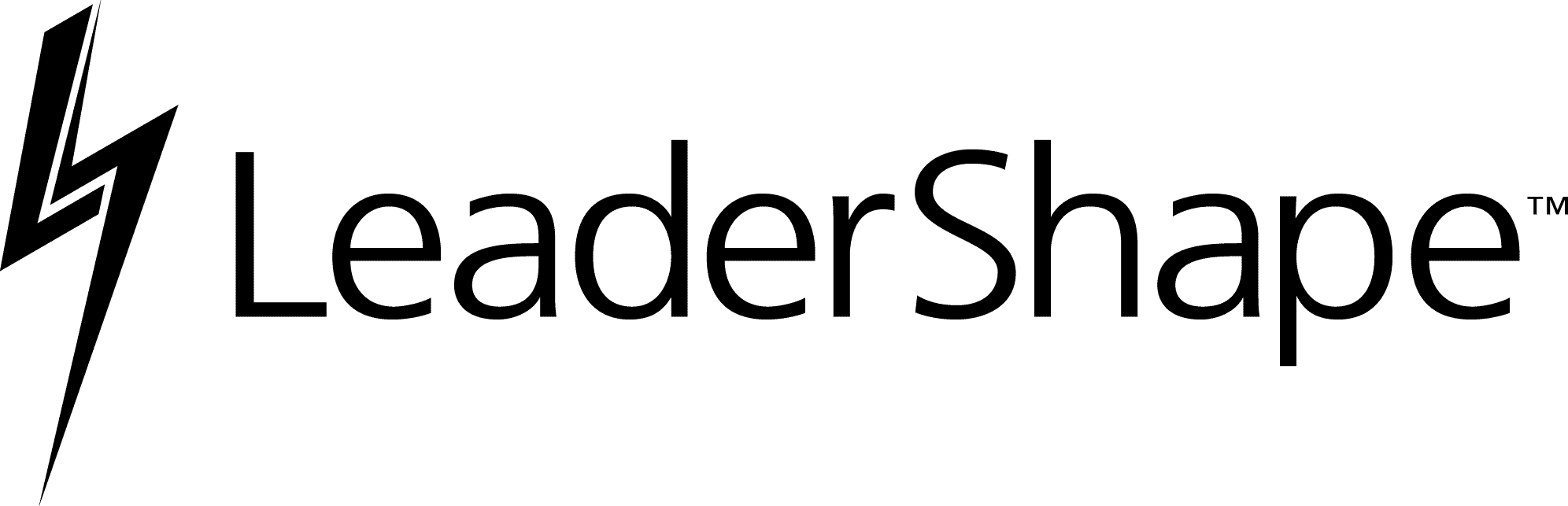 Leadershape Logo