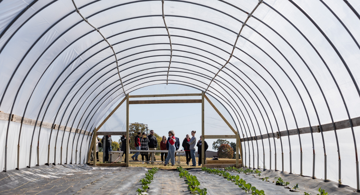 Bachelor of Science in Agriculture