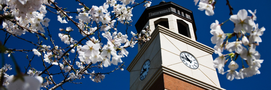 Photo of Guthrie tower in spring by Clinton Lewis.