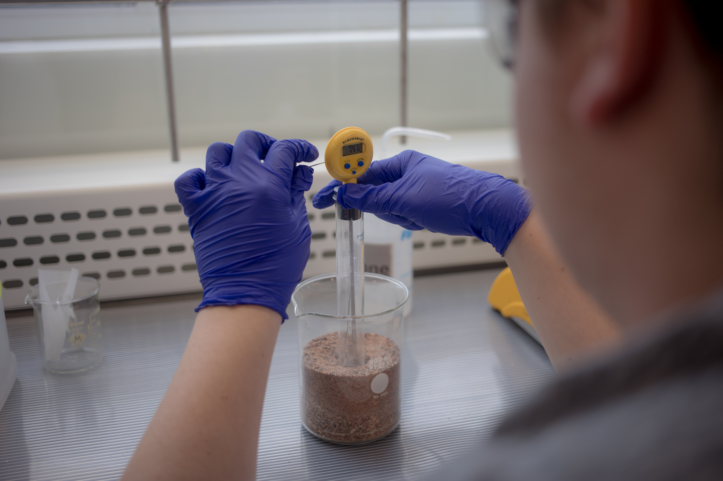 A WKU student takes the temperature of a material in a Chemistry lab.