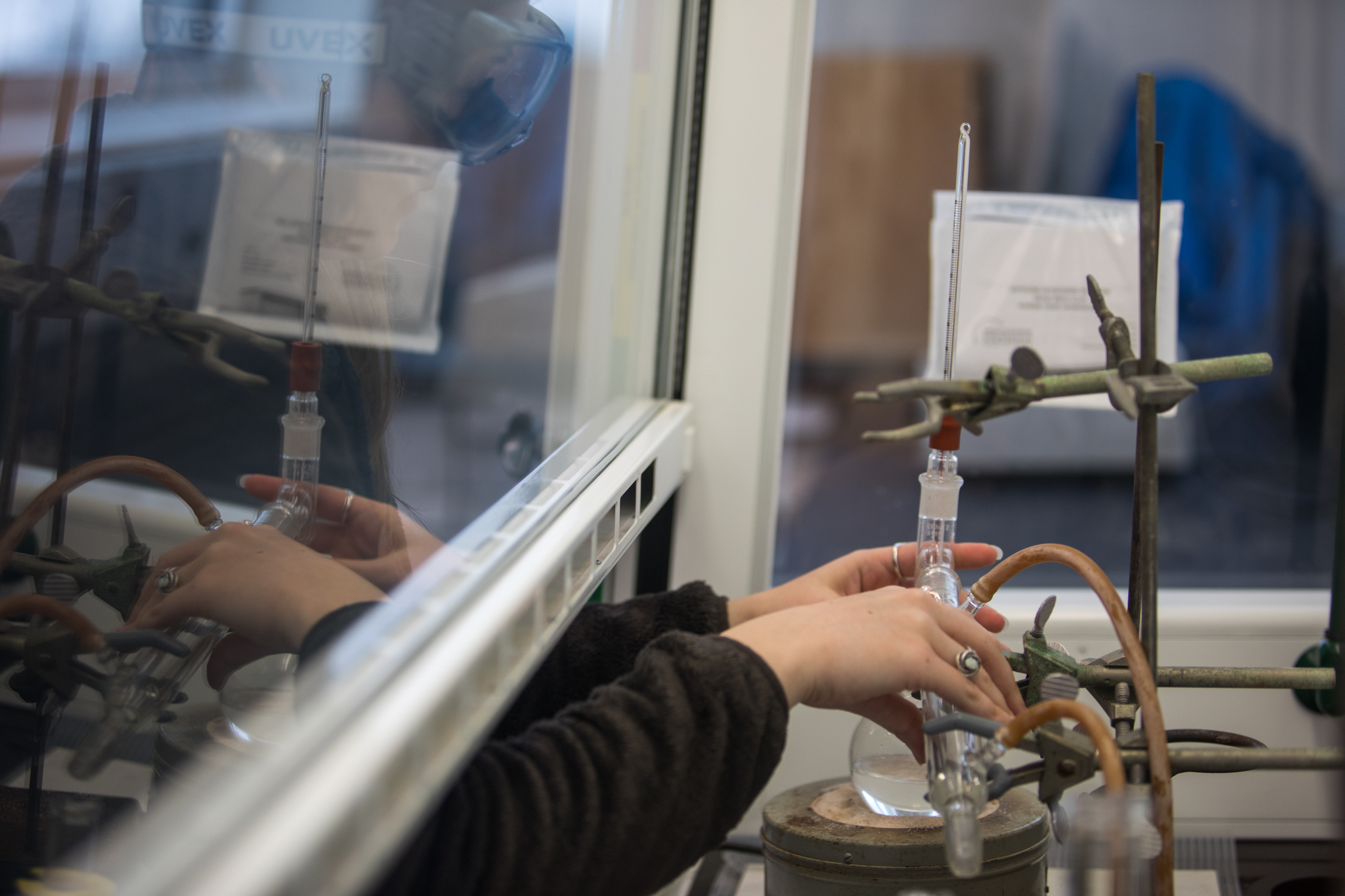 A student heats chemicals behind a fume hood.