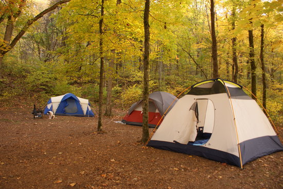 mammoth camping