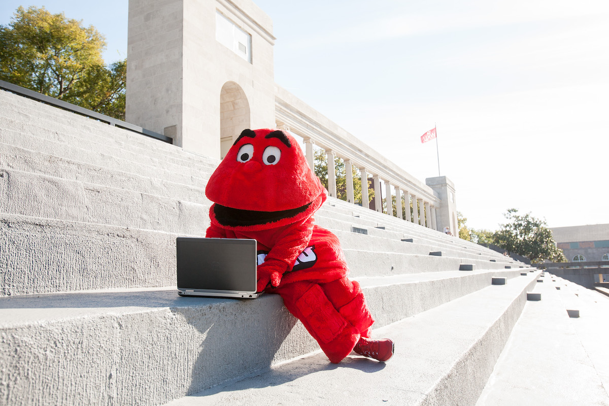 WKU mascot Big Red using a laptop