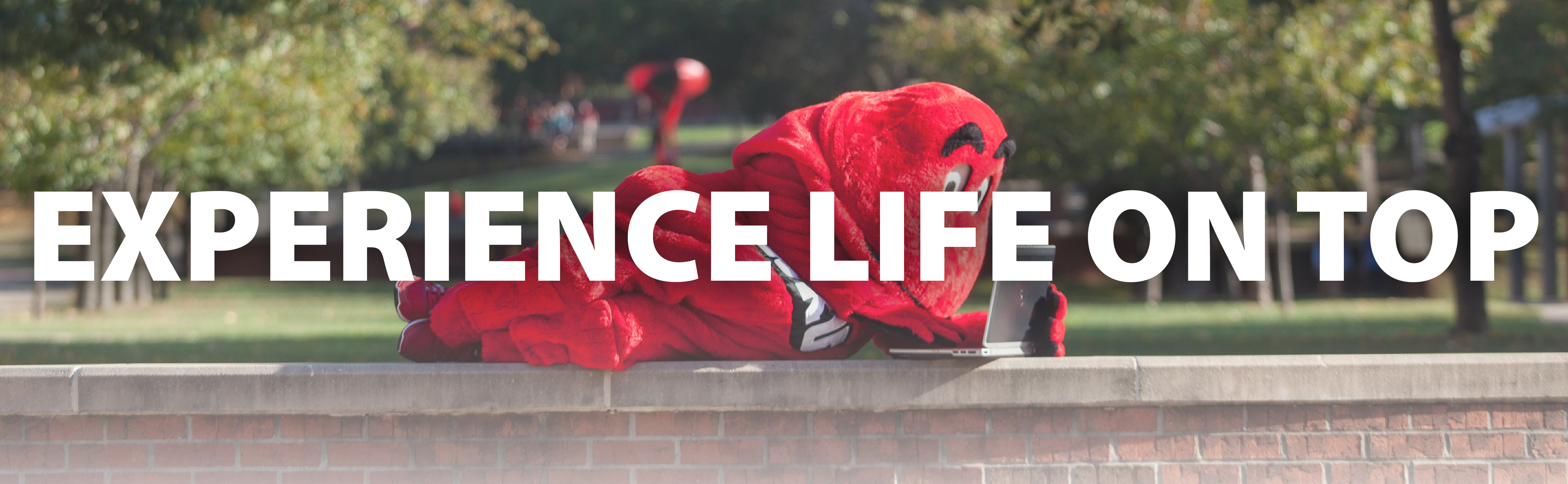 Big Red On Laptop Big Red On Laptop