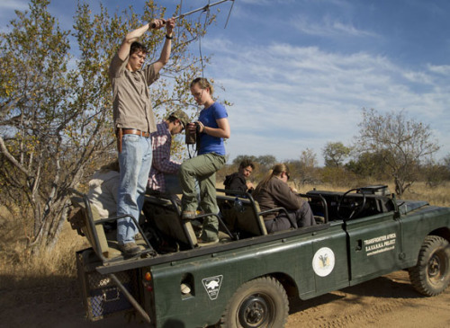 Students working in Africa