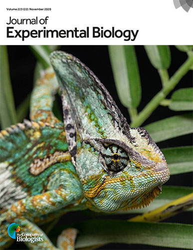 WKU research, photo featured on cover of biology journal