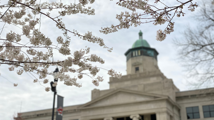 Live from The Hill: WKU Campus Tour Video Preview