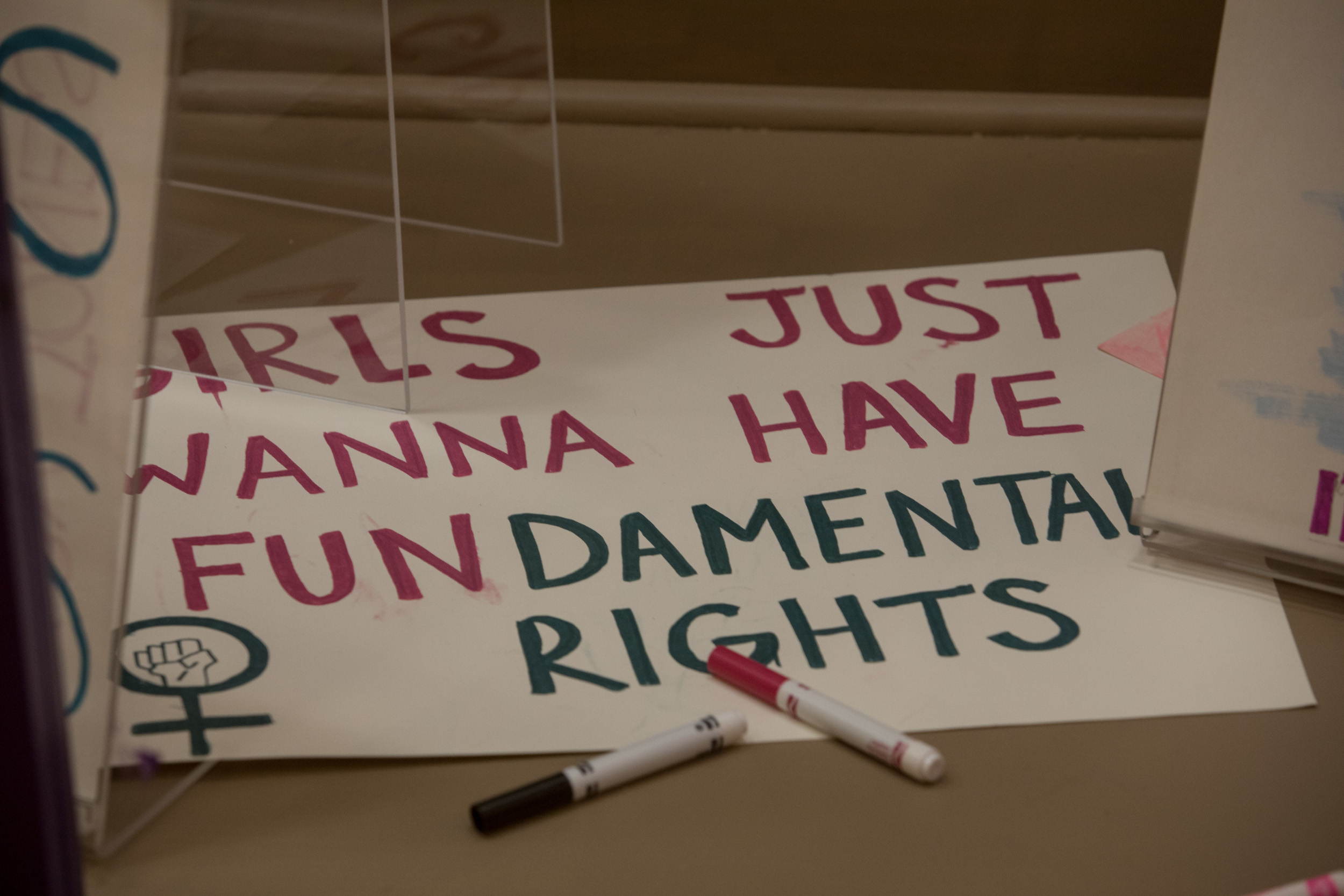 Poster, Girls Just Wanna Have Fundamental Rights