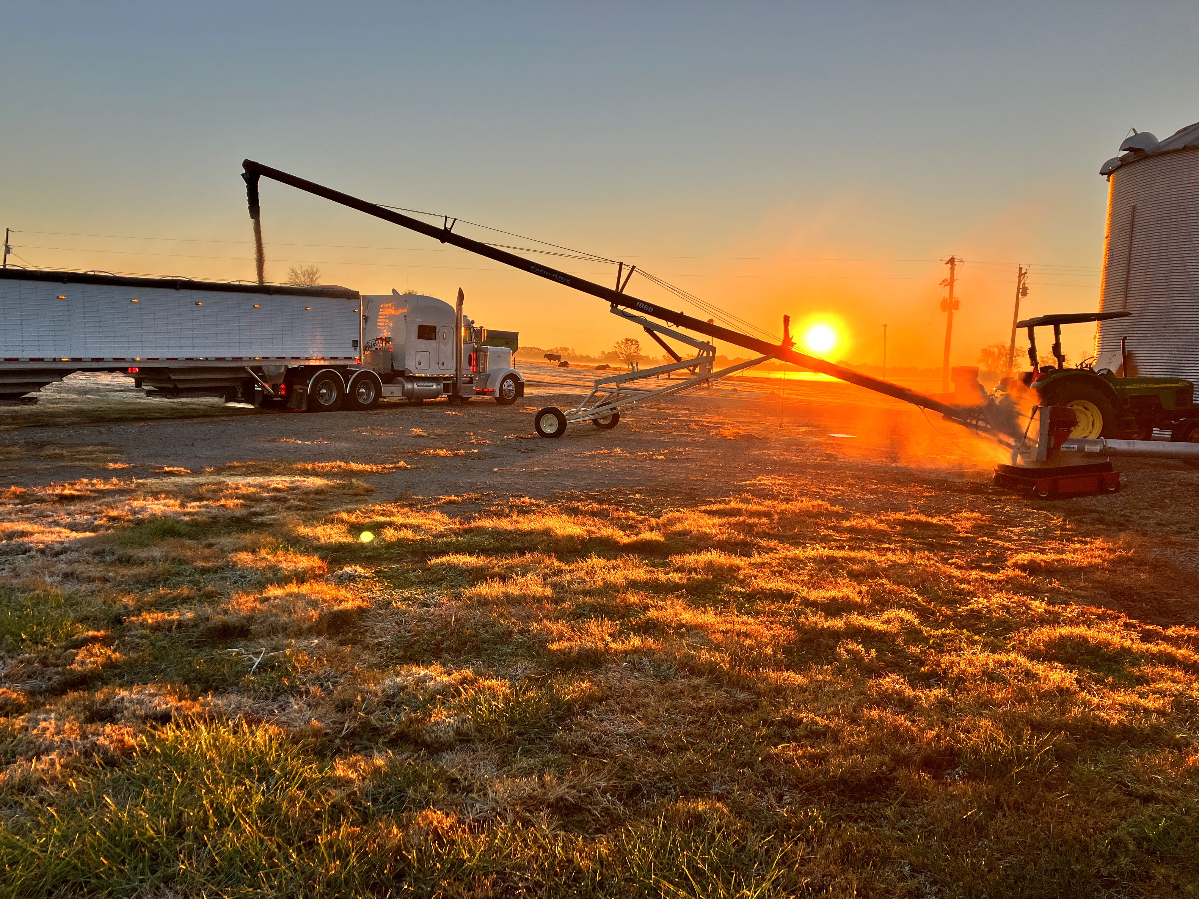 Grain is harvested at the WKU farm.