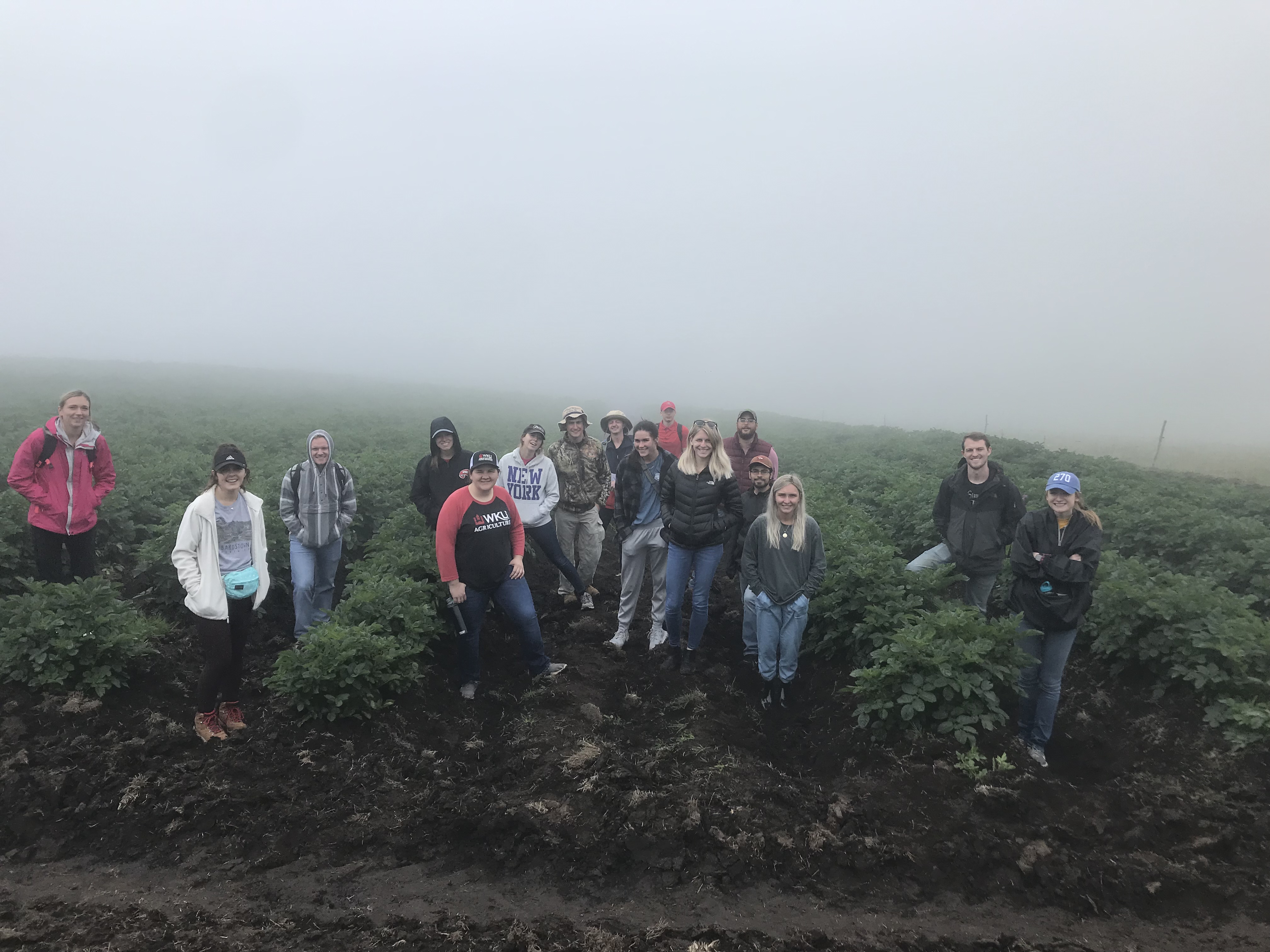 WKU agriculture students stand in a field of crops.