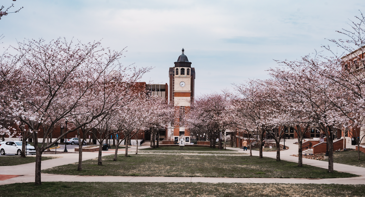 WKU campus with cherry blossoms.