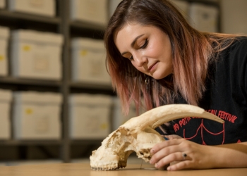 Anthropology student with bone