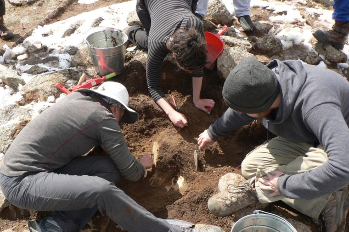 Students at archaeological site